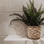 Cosy And Romantic Forest House Met Infrarood Sauna Op De Veluwe *