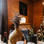 Cosy And Romantic Forest House Met Infrarood Sauna Op De Veluwe