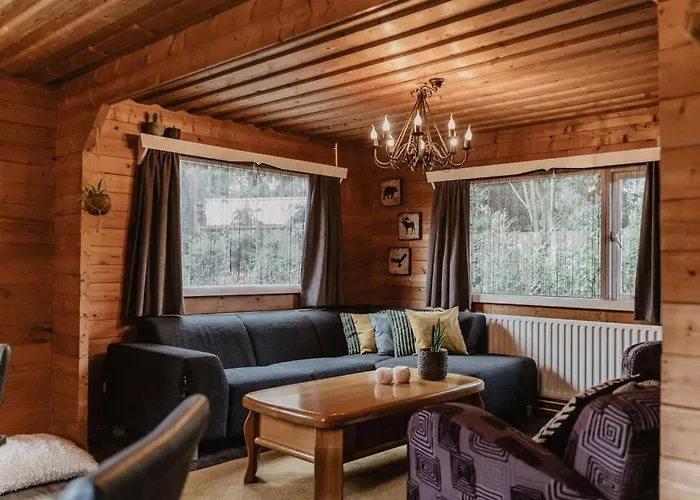 בית נופש Cosy And Romantic Forest House Met Sauna Op De Veluwe