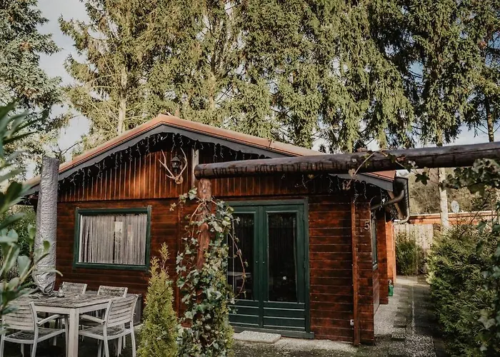 בית נופש Cosy And Romantic Forest House Met Sauna Op De Veluwe *