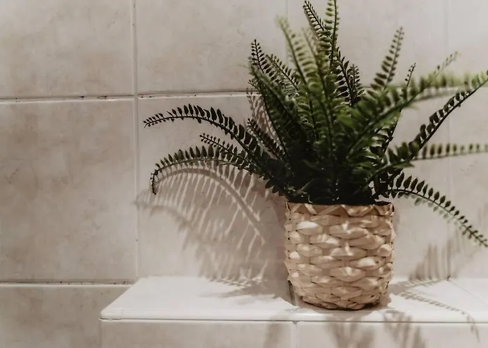 Cosy And Romantic Forest House Met Sauna Op De Veluwe *