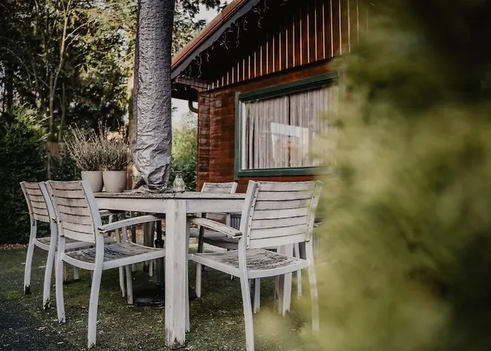 Feriehus Cosy And Romantic Forest House Met Sauna Op De Veluwe