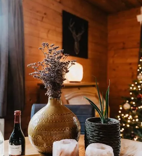 Cosy And Romantic Forest House Met Sauna Op De Veluwe