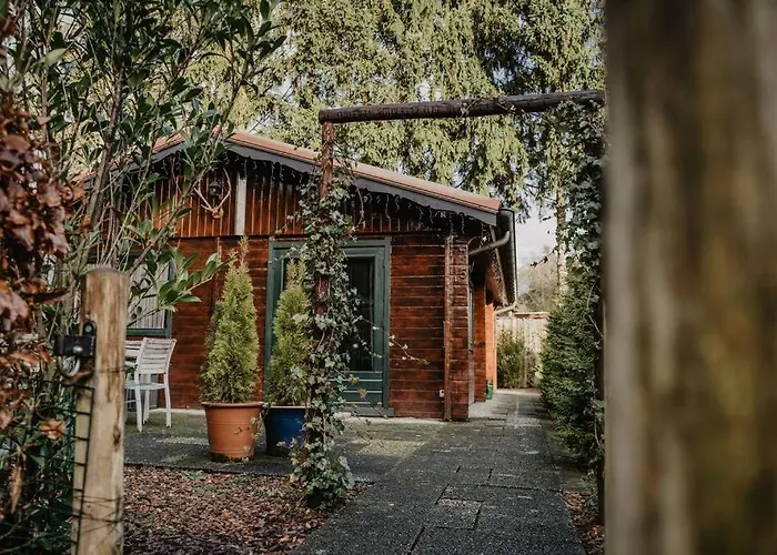 Feriehus Cosy And Romantic Forest House Met Sauna Op De Veluwe *